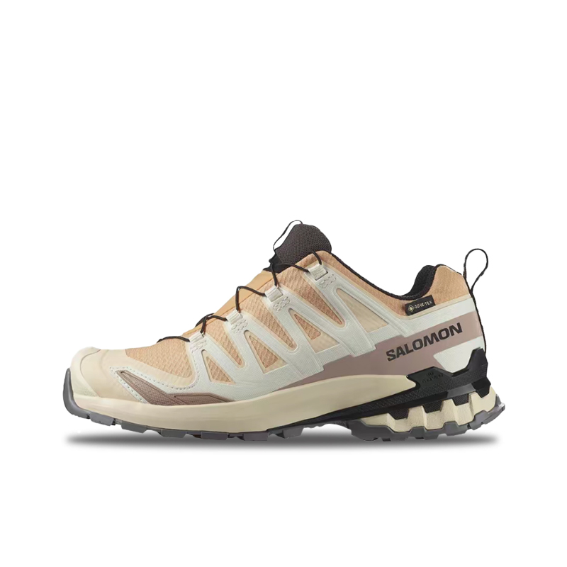 Salomon XA Pro 3D V9 GTX: A lo - огляд і ціна Salomon Shoes Xa Pro 3D